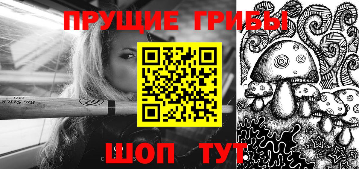 Рославль  Галлюциногенные грибы ЛСД  Вход с VPN  наркотики  Псилоцибиновые грибы Psilocybe 